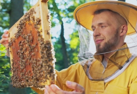 5537_Bee_125