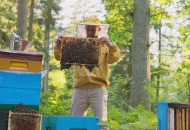5540_Bee_175
